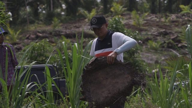 Daerah