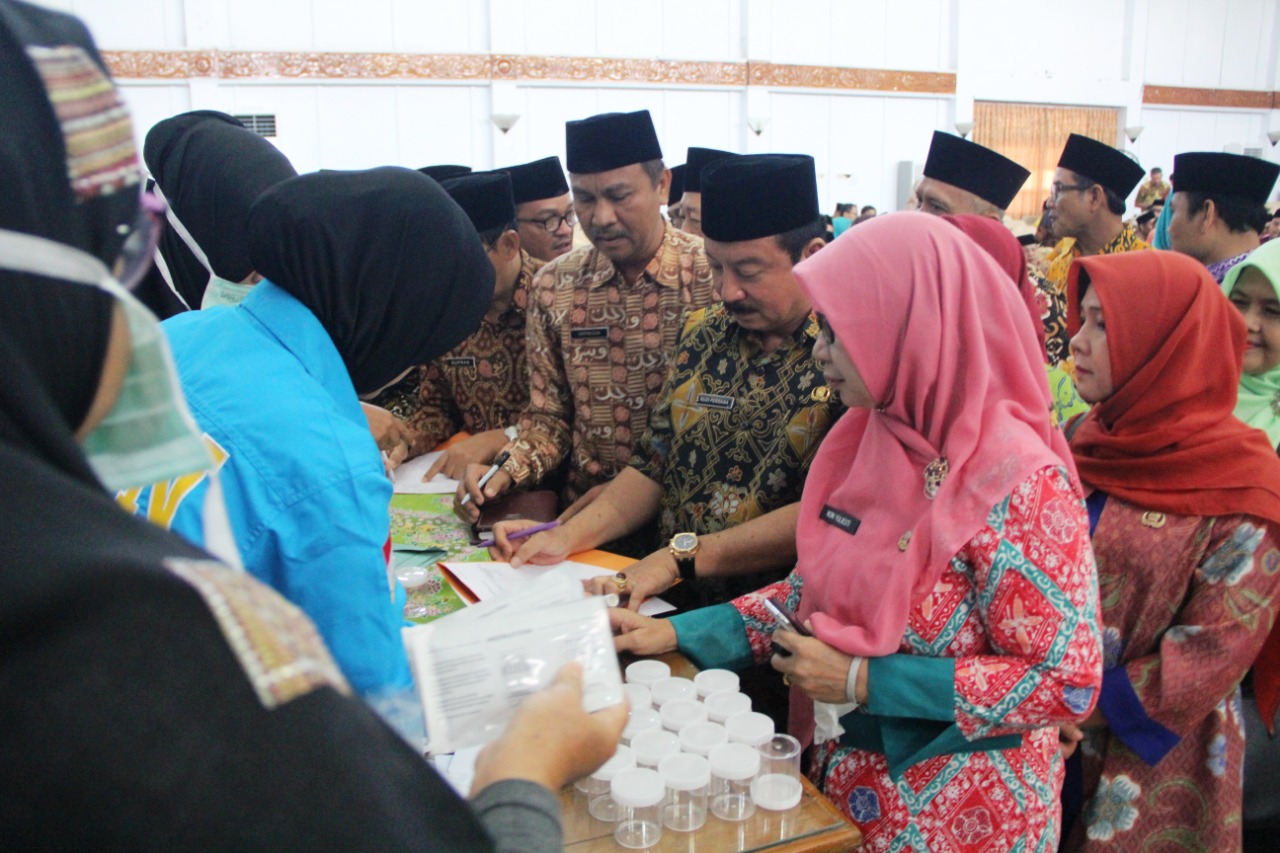 Pemerintahan