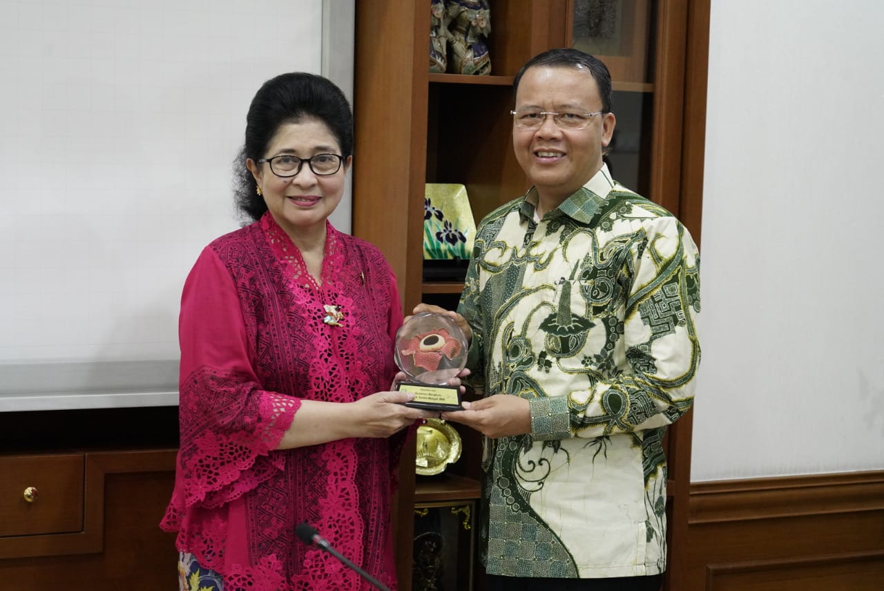 Pemerintahan