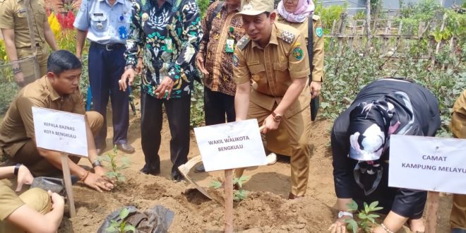 Pemkot bengkulu