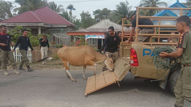 Daerah
