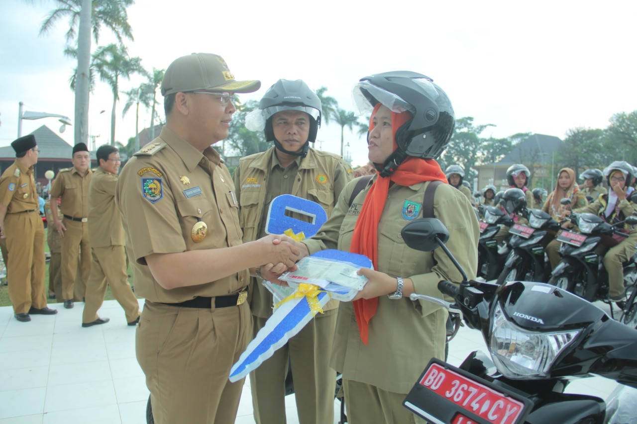 Pemerintahan