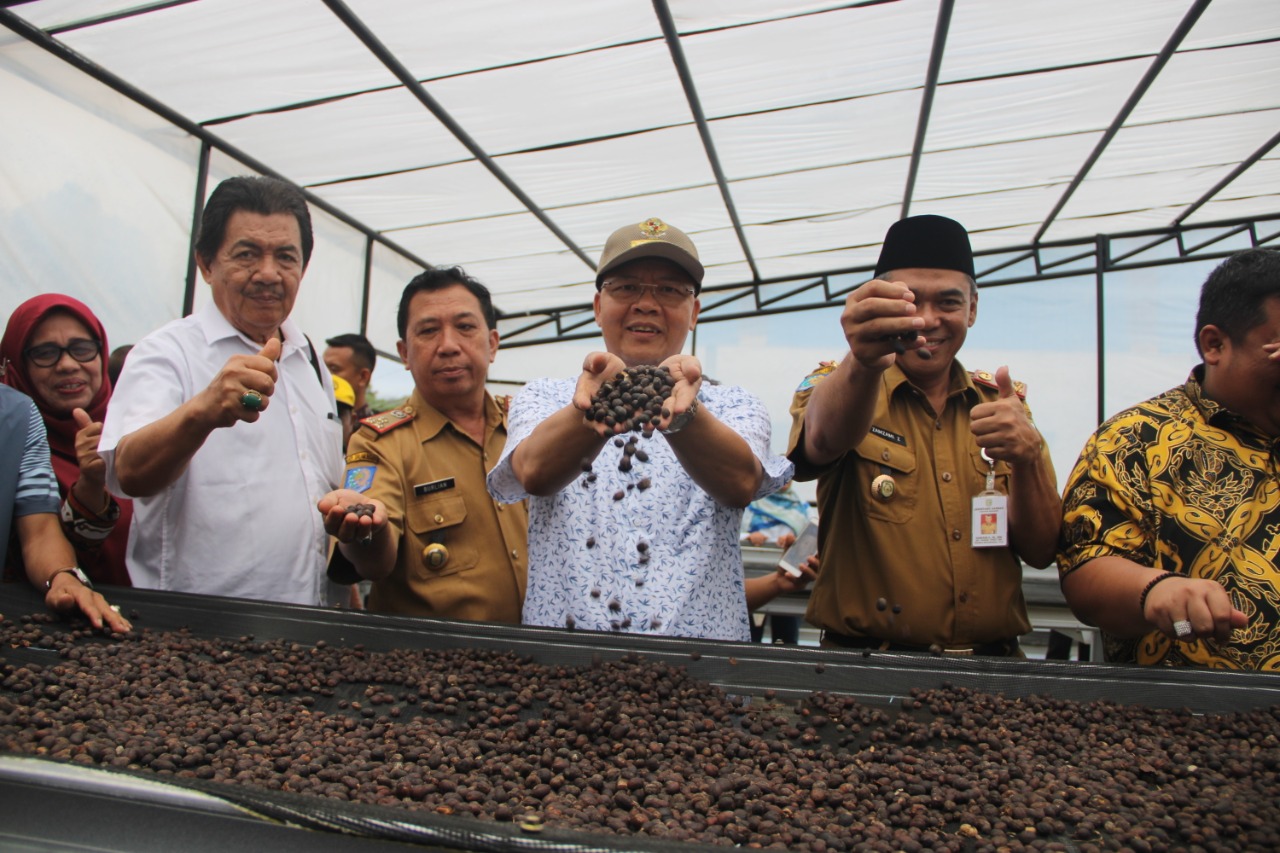 Pemerintahan