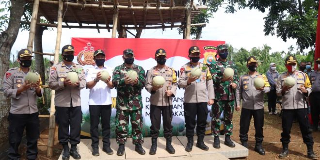 Pemkot bengkulu