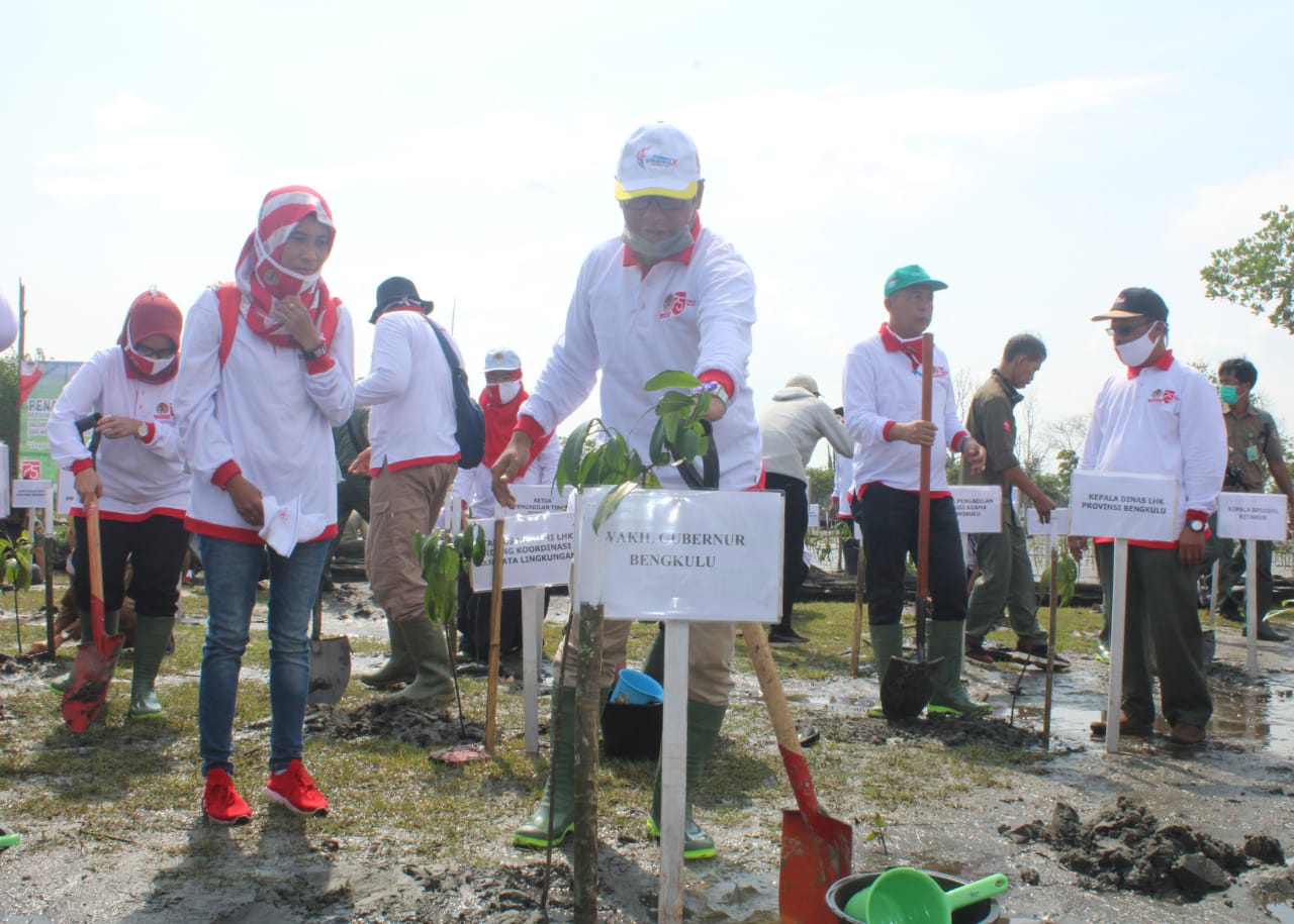 Pemerintahan