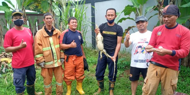 Pemkot bengkulu