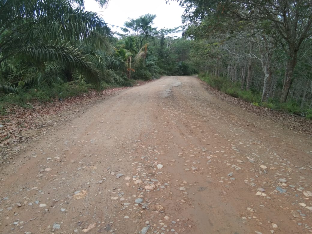 Daerah