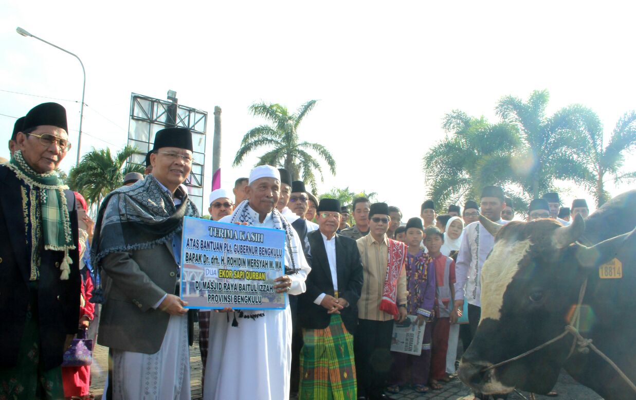 rohidin