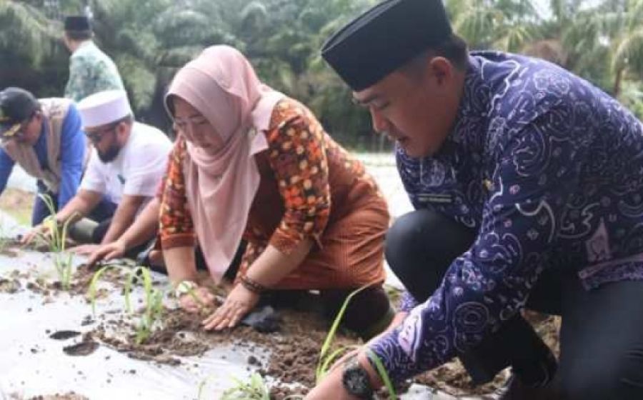 Pemkot bengkulu