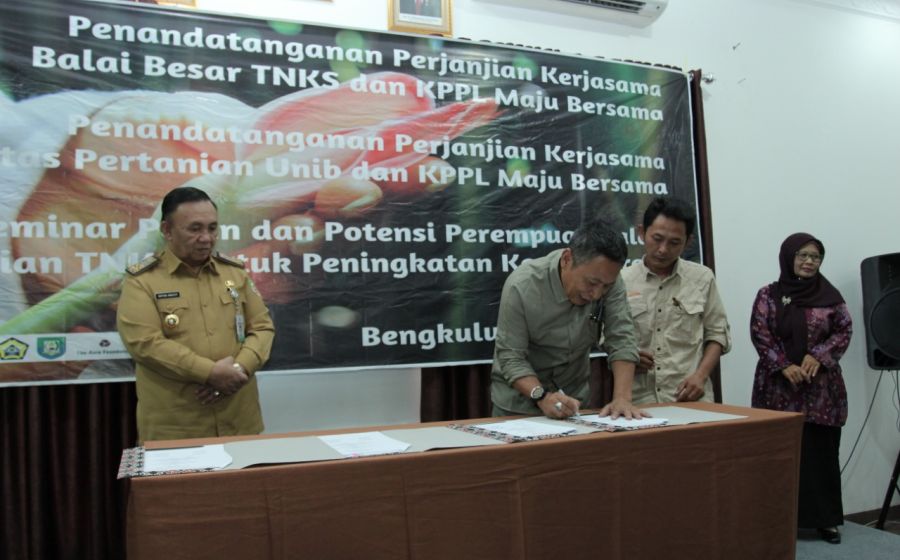 Pemerintahan