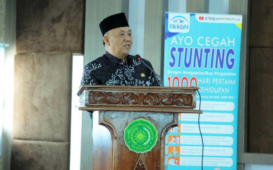 Pemerintahan
