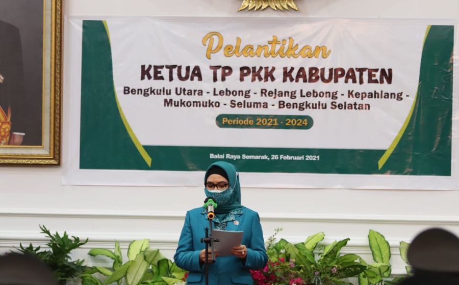 Pemerintahan