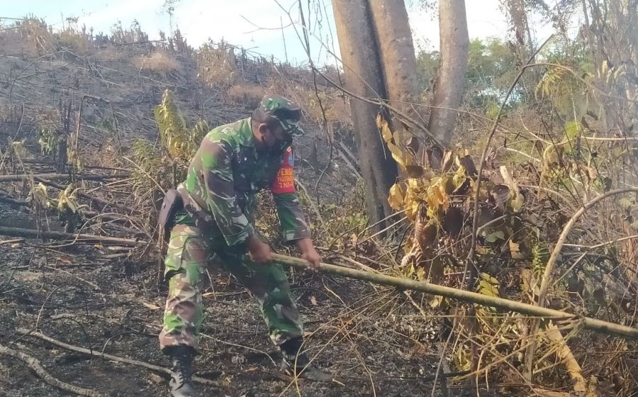 TNI