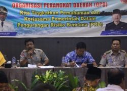 Pemkot bengkulu