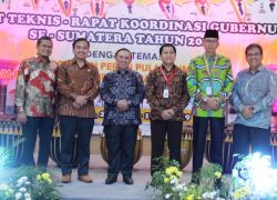Pemerintahan