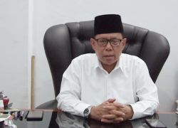 Politik