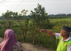 pemkot bengkulu