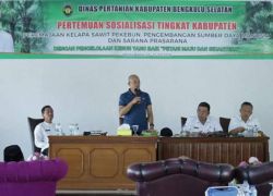 Daerah