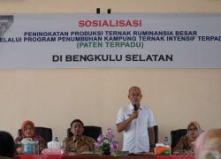 Daerah