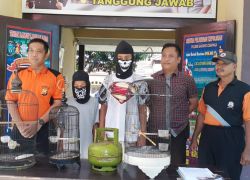 Hukum