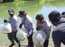 Daerah