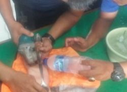 Pemkot bengkulu