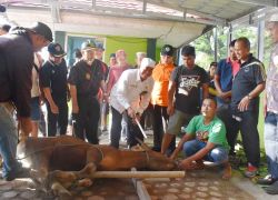 Provinsi Bengkulu