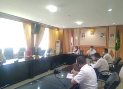 Pemerintahan