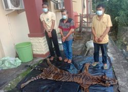 Hukum