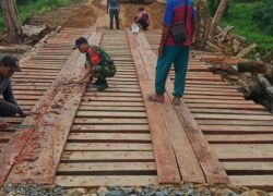 Nasional