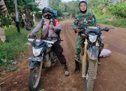 Nasional