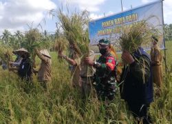 Nasional