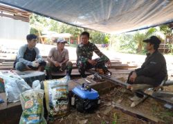 Nasional