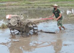 Nasional